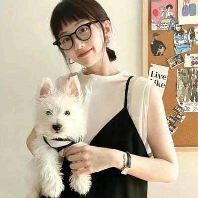 美国犯罪的最后日子